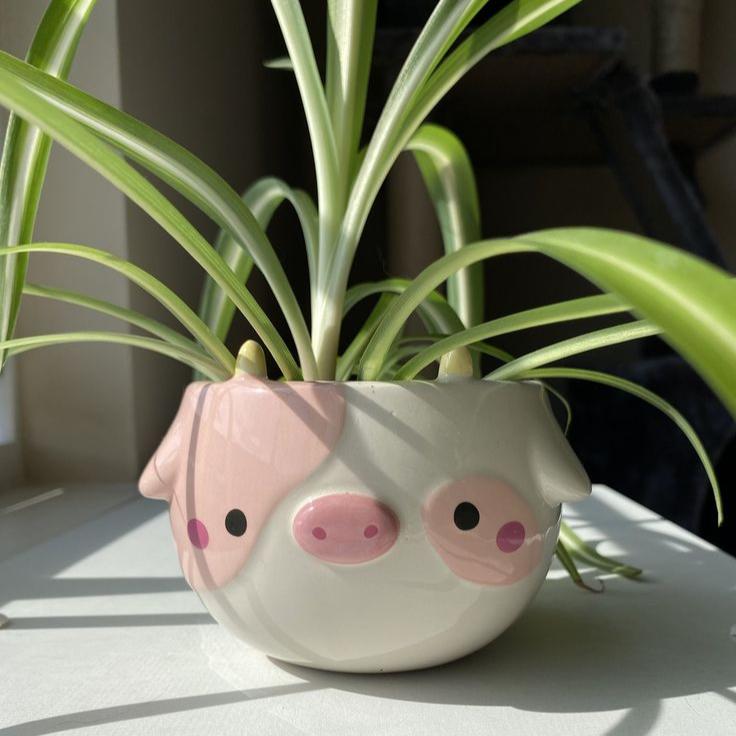Crea y Pinta tu taza, joyero u objeto decorativo
